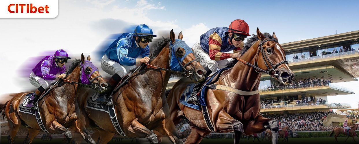CITIbet